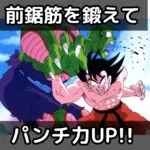 前鋸筋を鍛えてパンチ力アップ