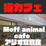 猫　猫カフェ　アリオ倉敷