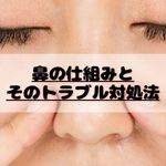 鼻の仕組みと そのトラブル対処法