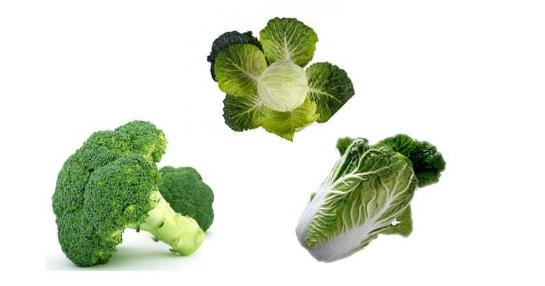 キャベツ　白菜　ブロッコリー