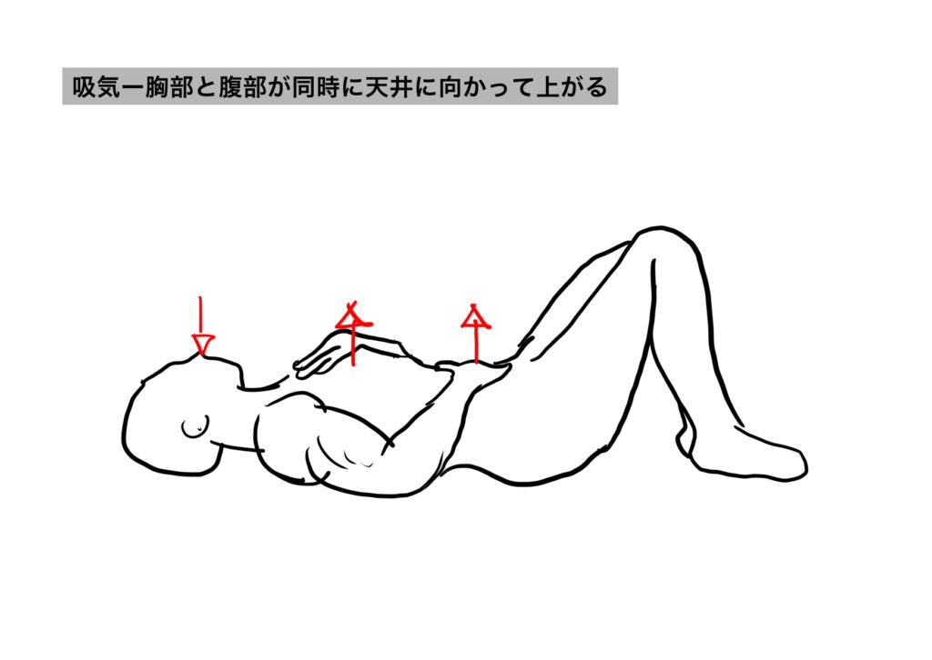 吸気と胸部と腹部が同時に動くの図