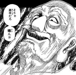 出典「HUNTER×HUNTER」冨樫義博 ネテロ 悪手 アリンコ