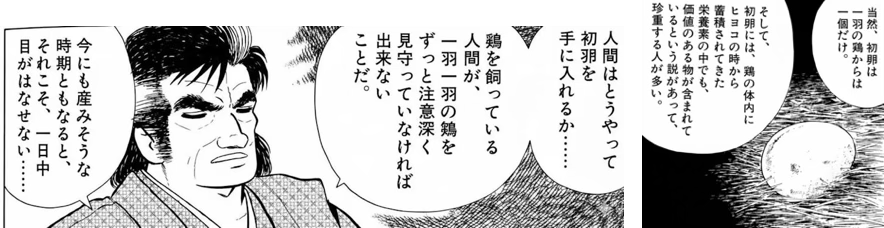 別に海原雄山みたいに初卵じゃなくてもいいんだよ出典「美味しんぼ」雁屋哲 花咲アキラ黄身の味噌漬け