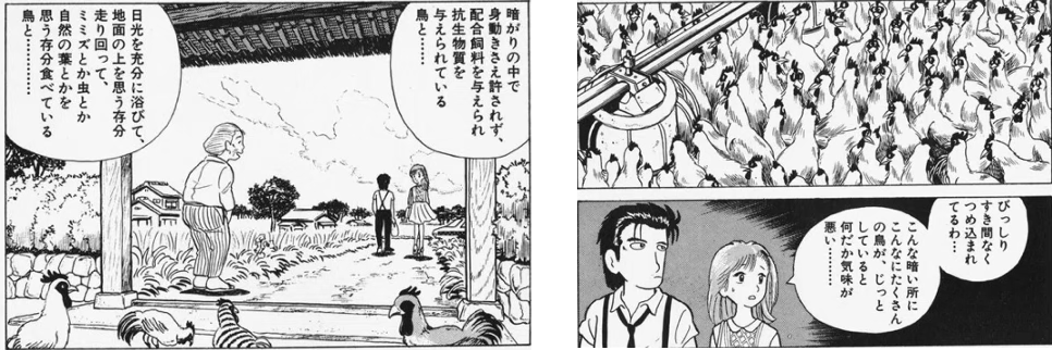 そりゃ自由な鶏のほうが美味いに決まってる・・・出典「美味しんぼ」雁屋哲 花咲アキラ