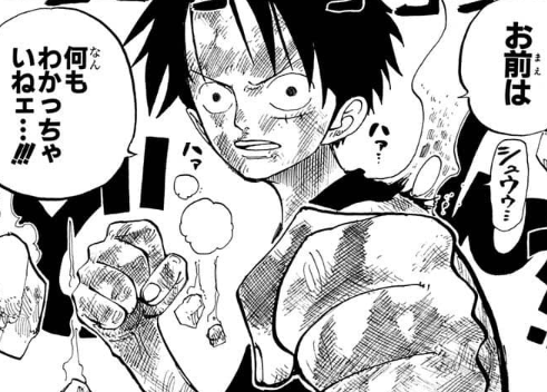 わかった気になるなよ!出典「ワンピース」尾田栄一郎「わかった気」と「本当にわかった」は全然違う